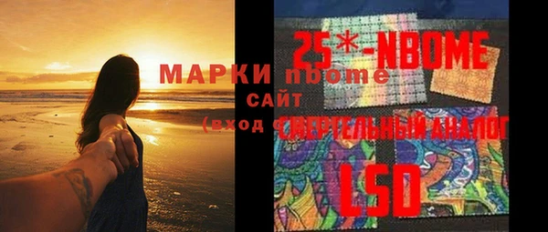 PSILOCYBIN Осинники