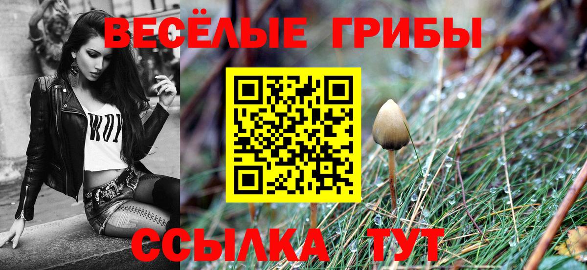 Галлюциногенные грибы Cubensis  Кубинка  Галлюциногенные грибы Cubensis 