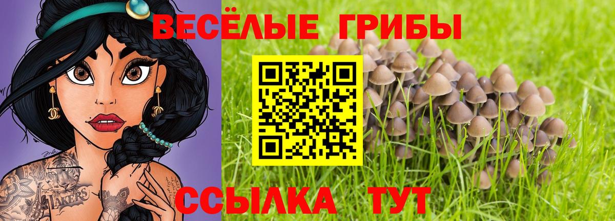 Кубинка  Псилоцибиновые грибы Psilocybine cubensis  Псилоцибиновые грибы ЛСД  Вход с VPN 
